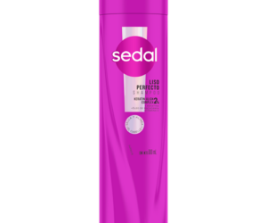 Shampoo Seda Seda Liso Perfeito 300ml